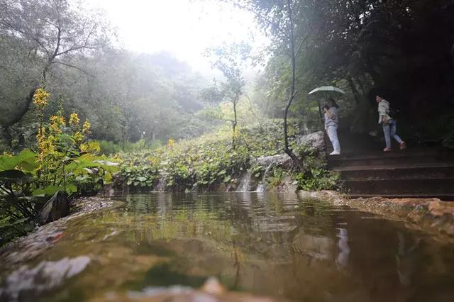 金色九月,烟雨重渡沟