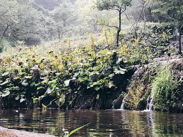 金色九月,烟雨重渡沟