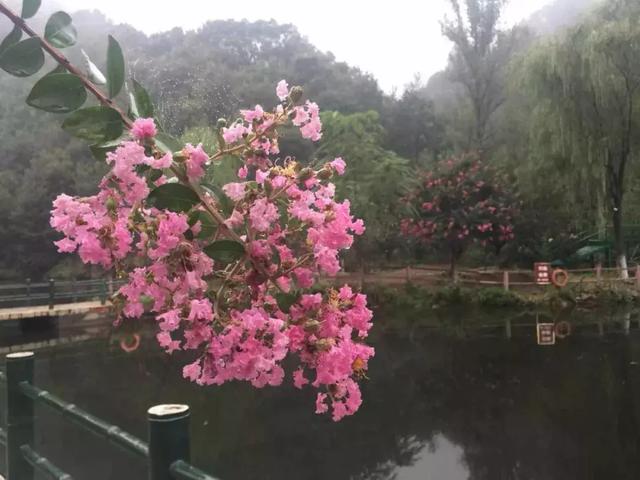 金色九月,烟雨重渡沟