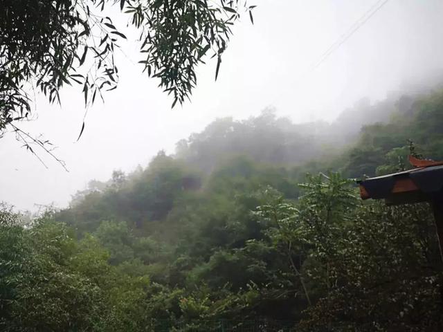 金色九月,烟雨重渡沟