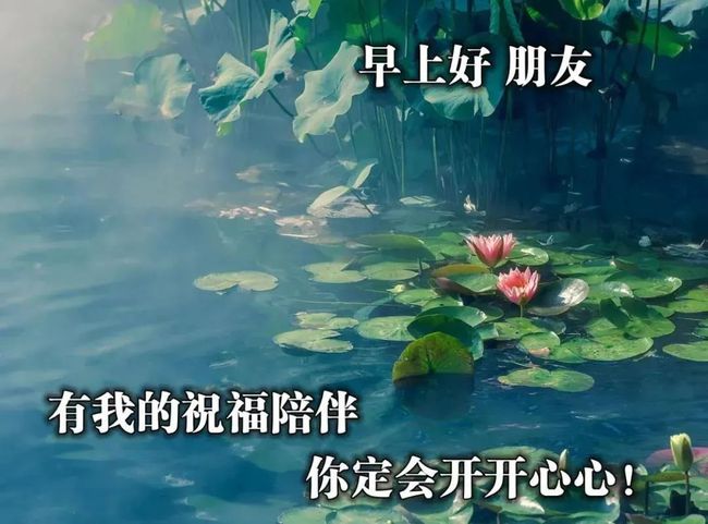 天气热关心老公的句子(指望不上老公的句子)