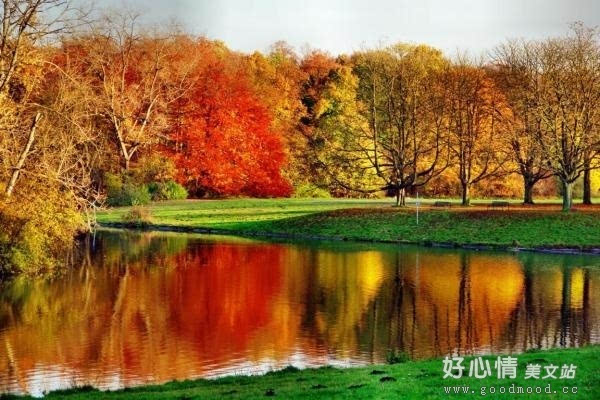 描写秋天早上景色优美句子_(描写秋天景色优美句子)