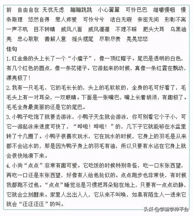 背优美句子对写作的作用_(高中英语句子摘抄大全)