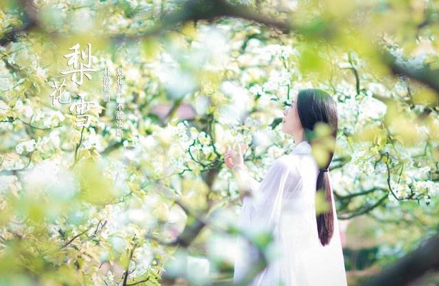 「诗词鉴赏」春寒料峭,这些描写倒春寒的诗句,都好有诗意