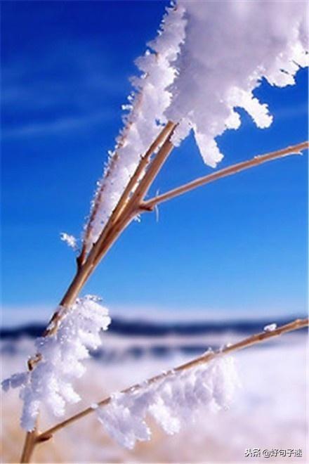 雪天的心情经典句子,文艺优雅,沁人心脾!