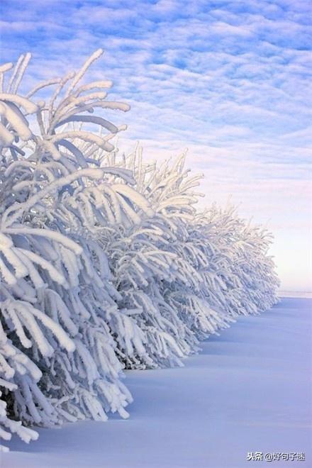 雪天的心情经典句子,文艺优雅,沁人心脾!