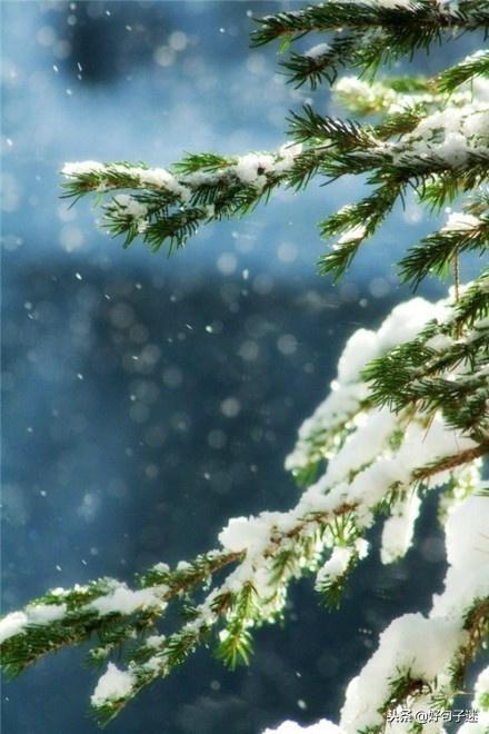 雪天的心情经典句子,文艺优雅,沁人心脾!