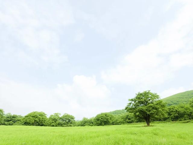 优美句子小学生五年级 优美句子小学生五年级