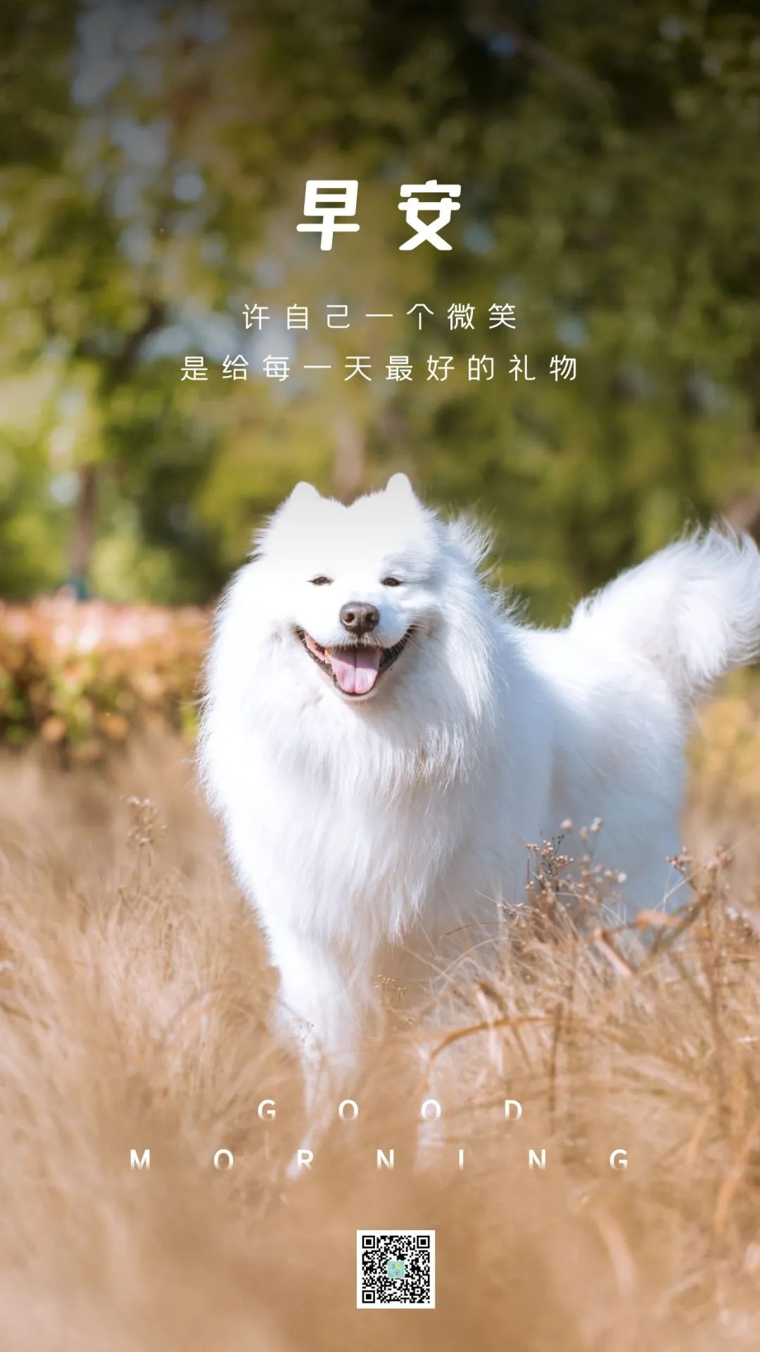 早安心语优美的语句2021励志早安心语配图-句子橘