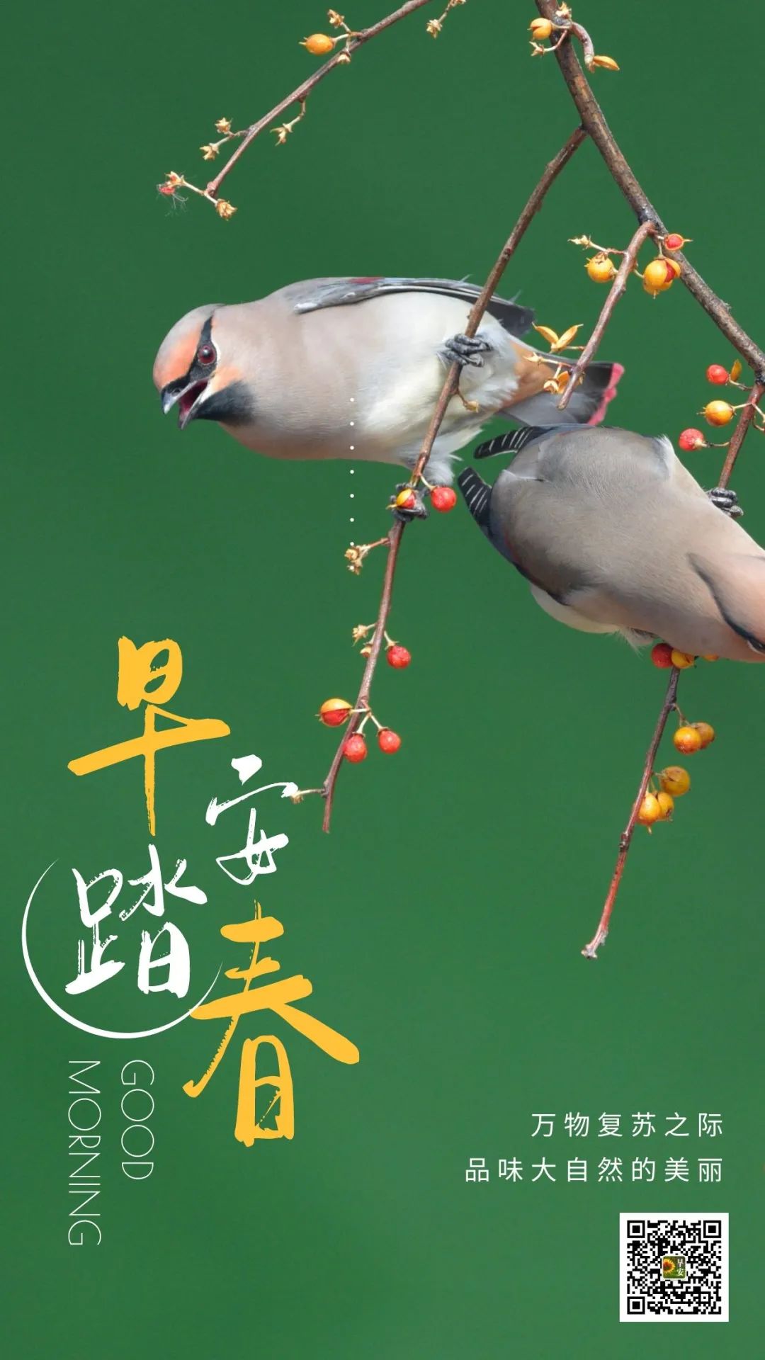 早安心语优美的语句2021励志早安心语配图-句子橘
