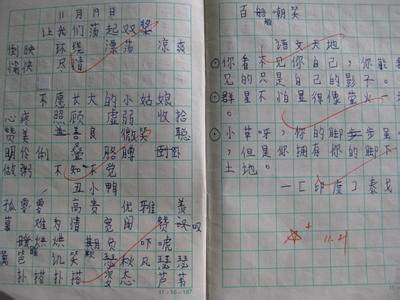 优美句子摘抄大全15字以上_(优美句子摘抄大全15字)