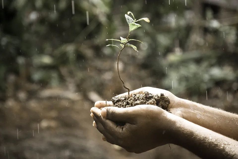 下雨的有意境的短句子下雨天的唯美句子-句子橘 下雨的有意境的短句子下雨天的唯美句子-句子橘