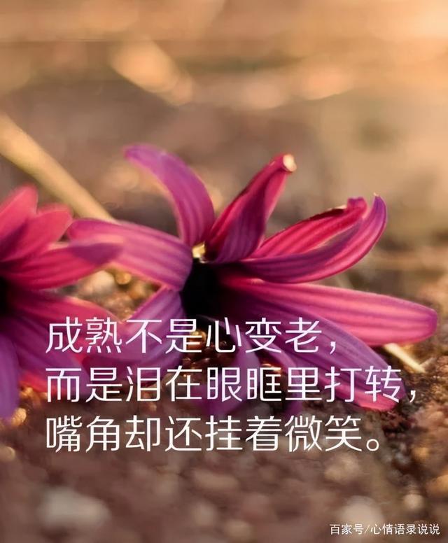 感谢简单暖心的句子【感谢简单暖心的句子适合孩子送给老人节的】