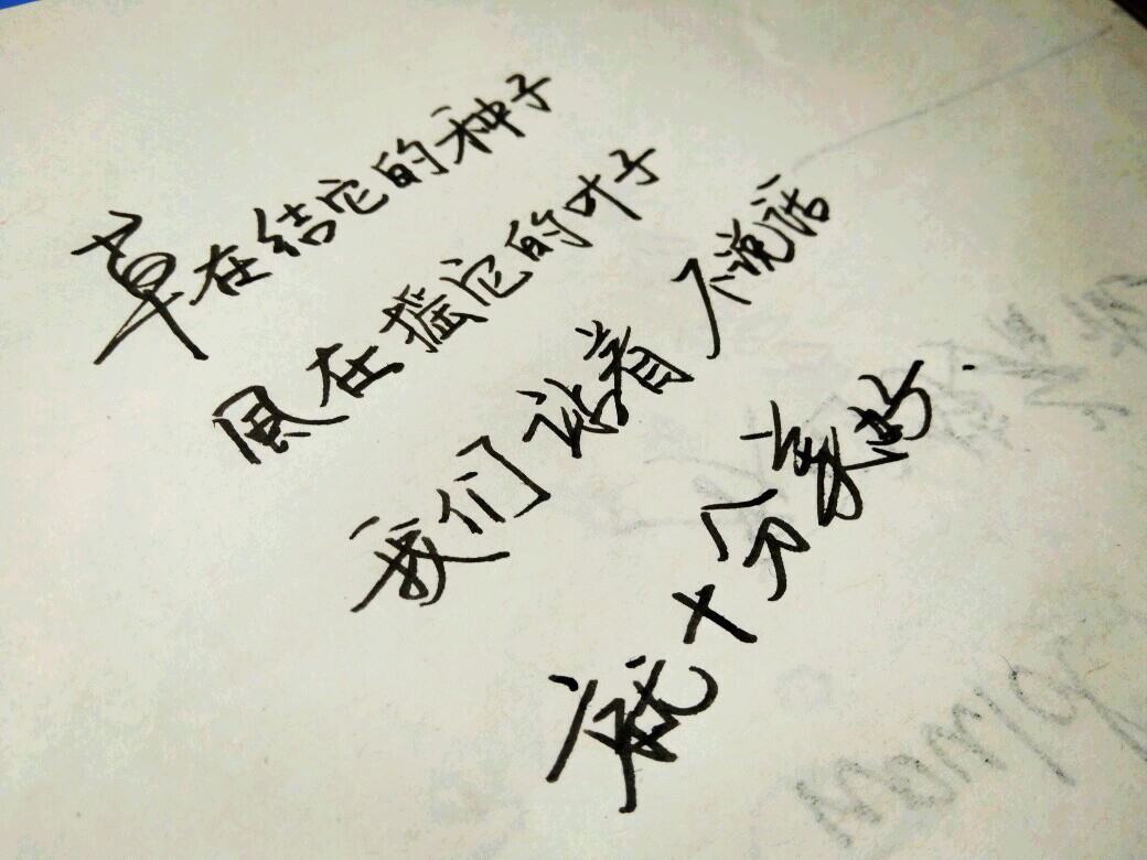 优美句子摘抄大全35字_(好段35字摘抄大全)