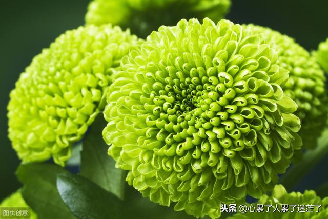 简单生活感悟经典句子短句 简单生活感悟经典句子短句