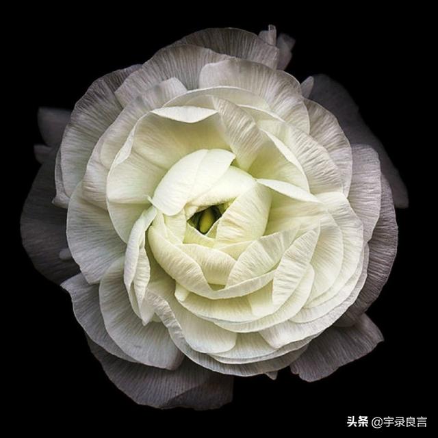 短而又简单的优美句子 短而又简单的优美句子
