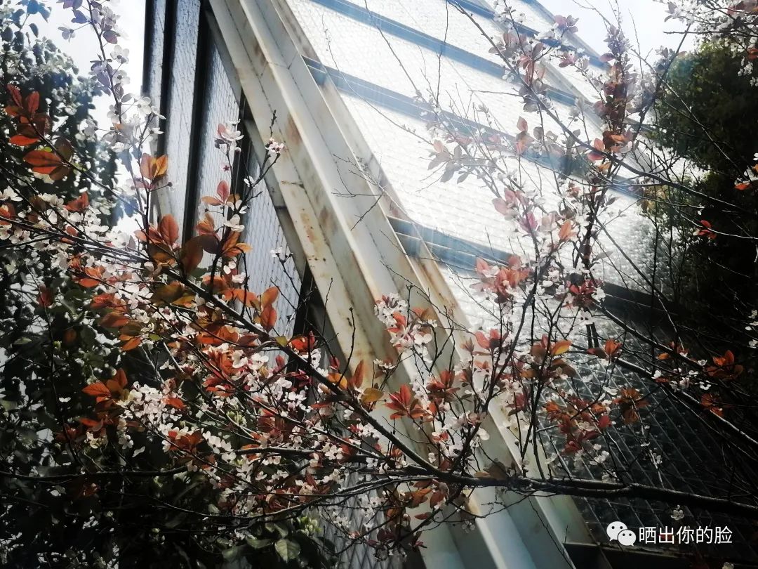 藏汉优美句子-句子橘 藏汉优美句子-句子橘