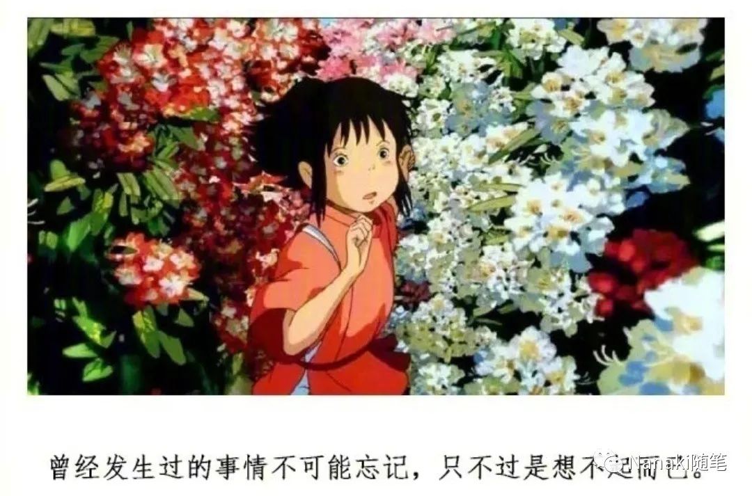 那些宫崎骏电影的句子-句子橘