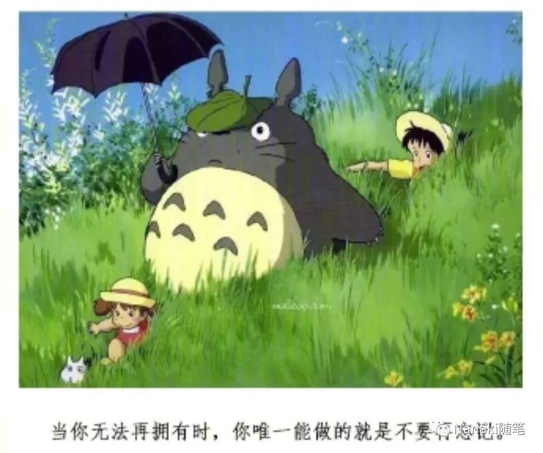 那些宫崎骏电影的句子-句子橘