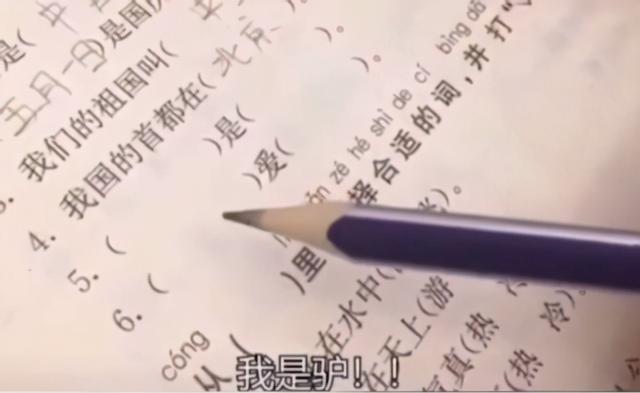 是造句子一年级简单 是造句子一年级简单