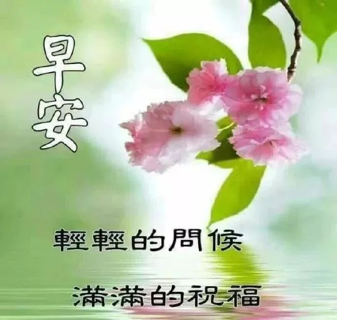早上好祝福语优美句子早安祝福语最新-句子橘 早上好祝福语优美句子早安祝福语最新-句子橘