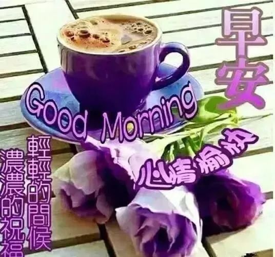 早上好祝福语优美句子早安祝福语最新-句子橘 早上好祝福语优美句子早安祝福语最新-句子橘
