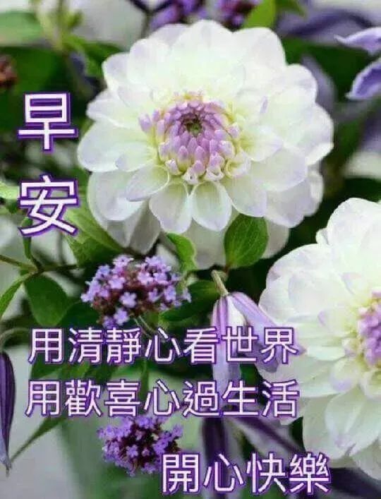 早上好祝福语优美句子早安祝福语最新-句子橘 早上好祝福语优美句子早安祝福语最新-句子橘