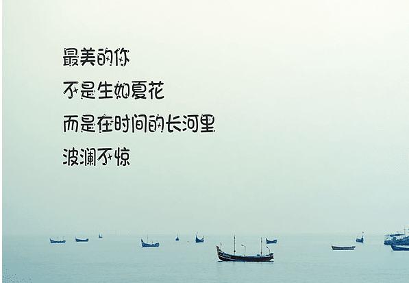 优美句子摘抄大全50字励志_(句句精辟的正能量句子)