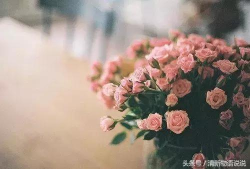 伤感的句子发朋友圈_(简短伤感文案)
