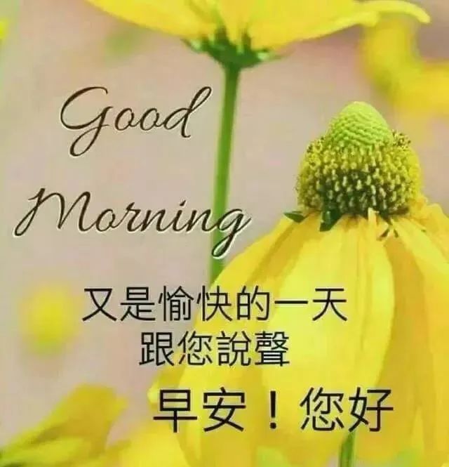 早上好祝福语优美句子早安祝福语最新-句子橘 早上好祝福语优美句子早安祝福语最新-句子橘