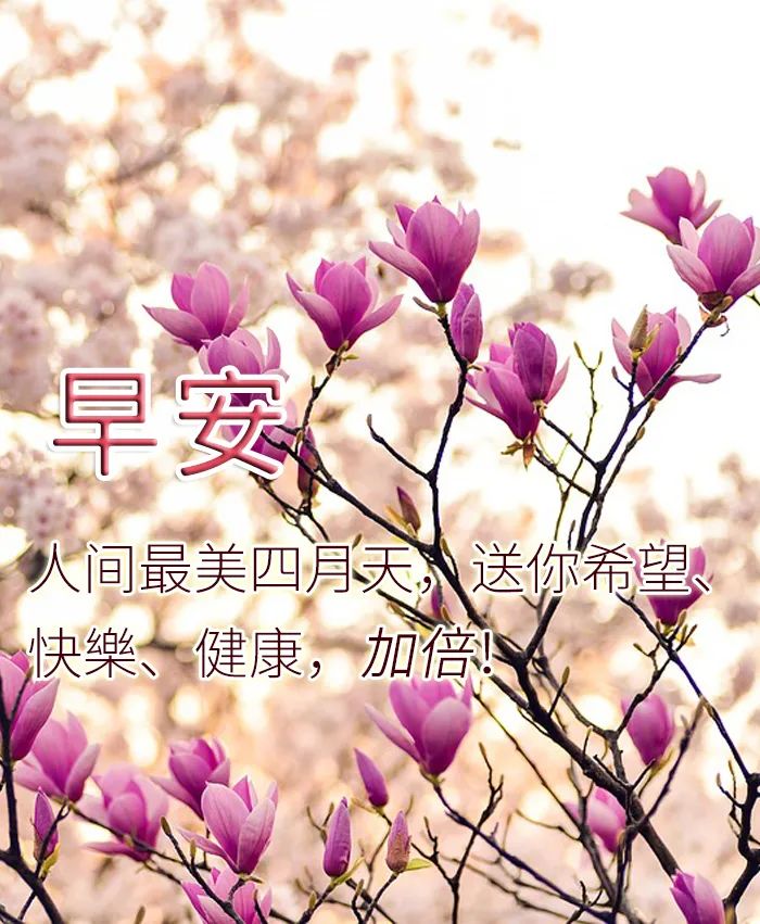 早上好祝福语优美句子早安祝福语最新-句子橘 早上好祝福语优美句子早安祝福语最新-句子橘