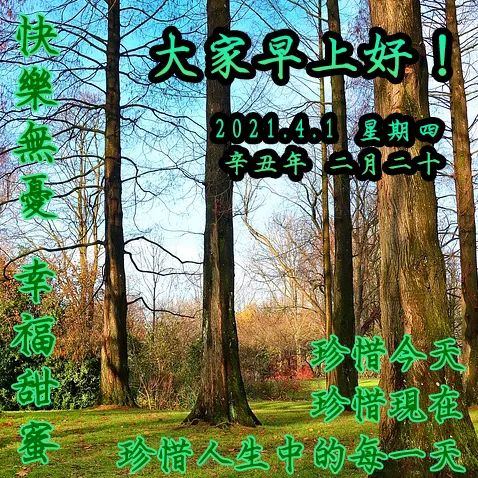 早上好祝福语优美句子早安祝福语最新-句子橘 早上好祝福语优美句子早安祝福语最新-句子橘