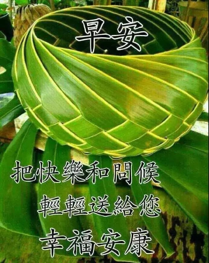 早上好祝福语优美句子早安祝福语最新-句子橘 早上好祝福语优美句子早安祝福语最新-句子橘
