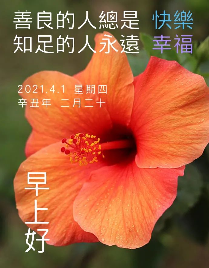 早上好祝福语优美句子早安祝福语最新-句子橘 早上好祝福语优美句子早安祝福语最新-句子橘