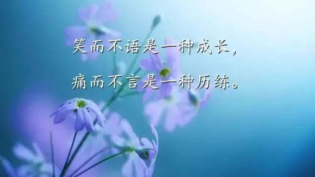 正能量早安心语优美的语句子-句子橘 正能量早安心语优美的语句子-句子橘