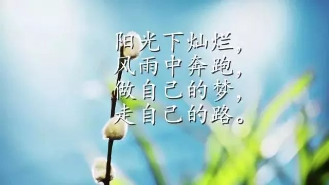 正能量早安心语优美的语句子-句子橘 正能量早安心语优美的语句子-句子橘