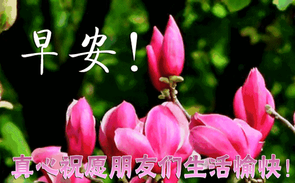 简简单单便是幸福唯美句子 简简单单便是幸福唯美句子