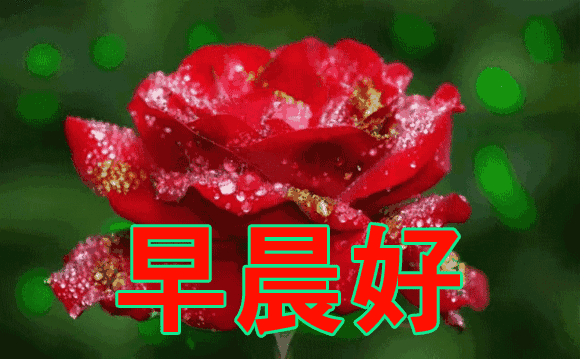 简简单单便是幸福唯美句子 简简单单便是幸福唯美句子