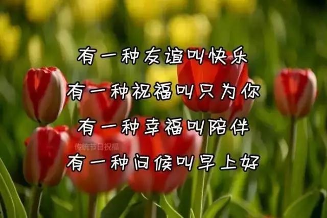 简简单单便是幸福唯美句子 简简单单便是幸福唯美句子