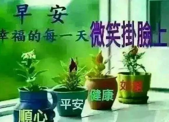 简简单单便是幸福唯美句子 简简单单便是幸福唯美句子