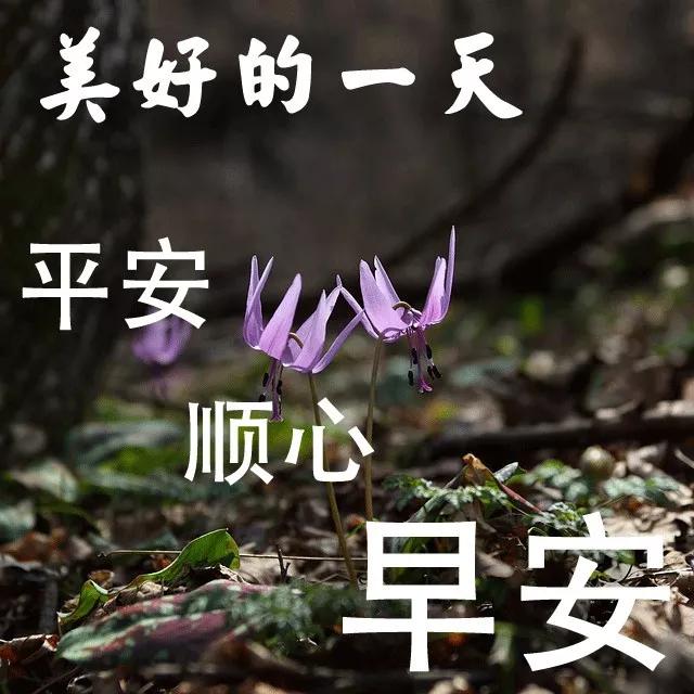 简简单单便是幸福唯美句子 简简单单便是幸福唯美句子