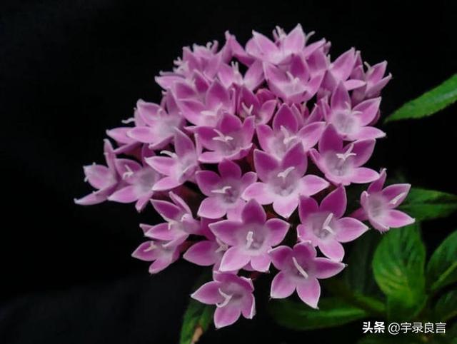 生活简单精致唯美句子 生活简单精致唯美句子