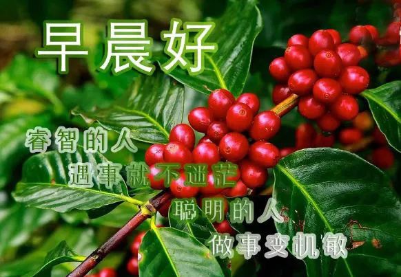 早上好祝福语优美句子,清晨早上好唯美图片-句子橘 早上好祝福语优美句子,清晨早上好唯美图片-句子橘