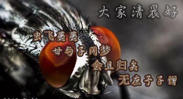 早上好祝福语优美句子,清晨早上好唯美图片-句子橘 早上好祝福语优美句子,清晨早上好唯美图片-句子橘