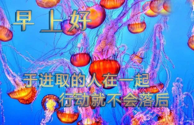 早上好祝福语优美句子,清晨早上好唯美图片-句子橘 早上好祝福语优美句子,清晨早上好唯美图片-句子橘