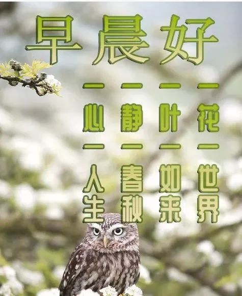 早上好祝福语优美句子,清晨早上好唯美图片-句子橘 早上好祝福语优美句子,清晨早上好唯美图片-句子橘