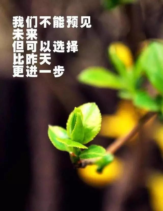 抖音句子大全励志(正能量的句子经典语句)
