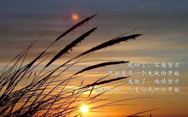 感叹人生苦难经典句子_(磨练意志的优美句子)
