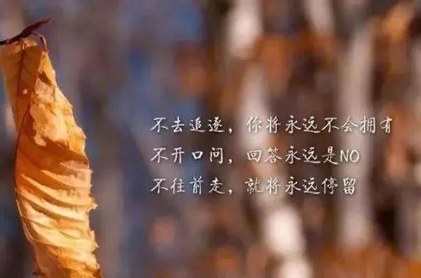 好的句子经典的短句子_(值得摘抄的神仙句子)