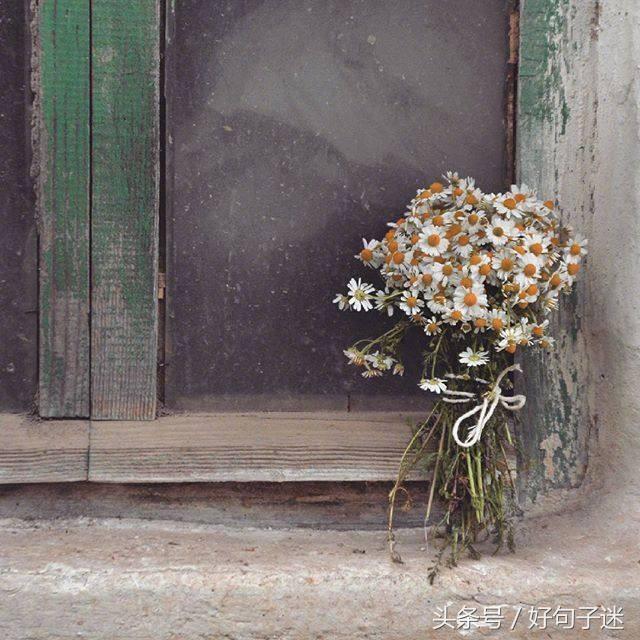 简单句子摘抄大全简短 简单句子摘抄大全简短